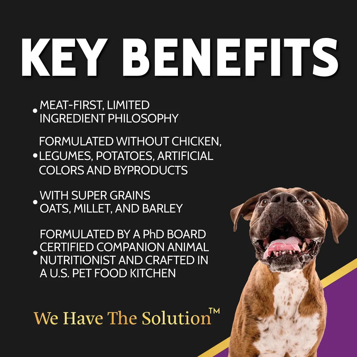 Zignature Select Cuts Kangaroo Formula 25lb Bag | High-Protein, Limited Ingredient Dog Food - view 3