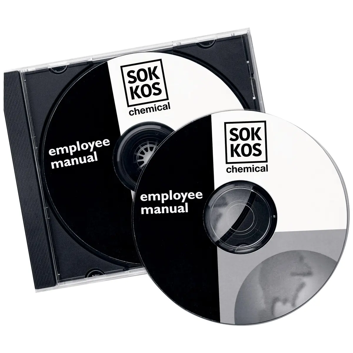 Avery Printable CD Labels, Matte White, Permanent Adhesive | Laser Printable for DVDs & PC Discs - view 6