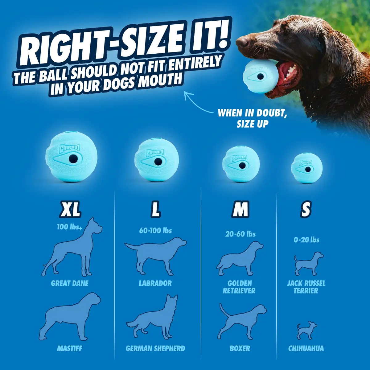 Chuckit! The Whistler Ball Dog Toy, Medium 2.5in | Ultra-Bouncy, Whistling Fetch Toy for Dogs 20-60lbs - view 5