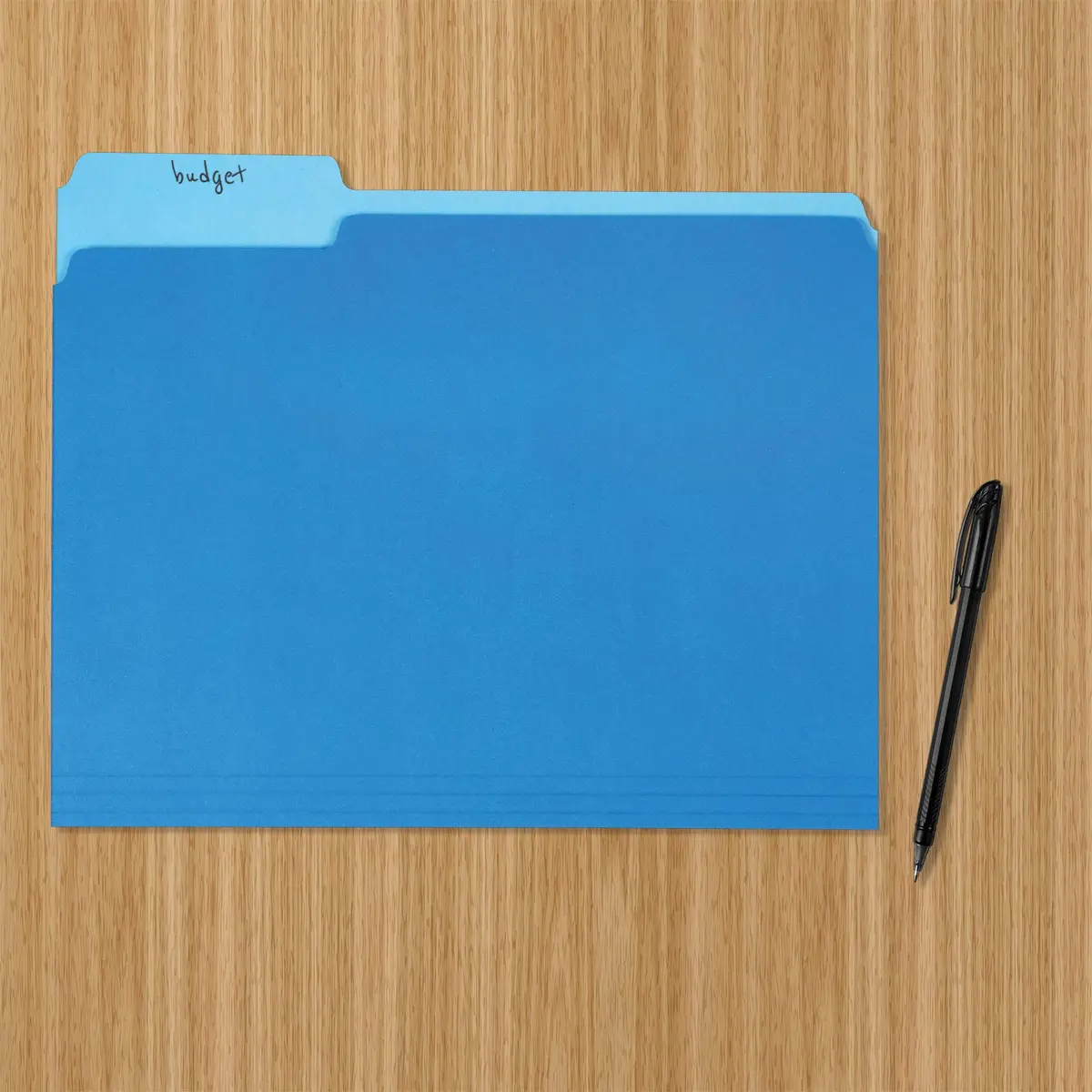 Amazon Basics File Folders for Organization, Letter Size, 1/3 Cut Tab, Blue, Pack of 360 | 360 Folders for Everyday Filing - view 5