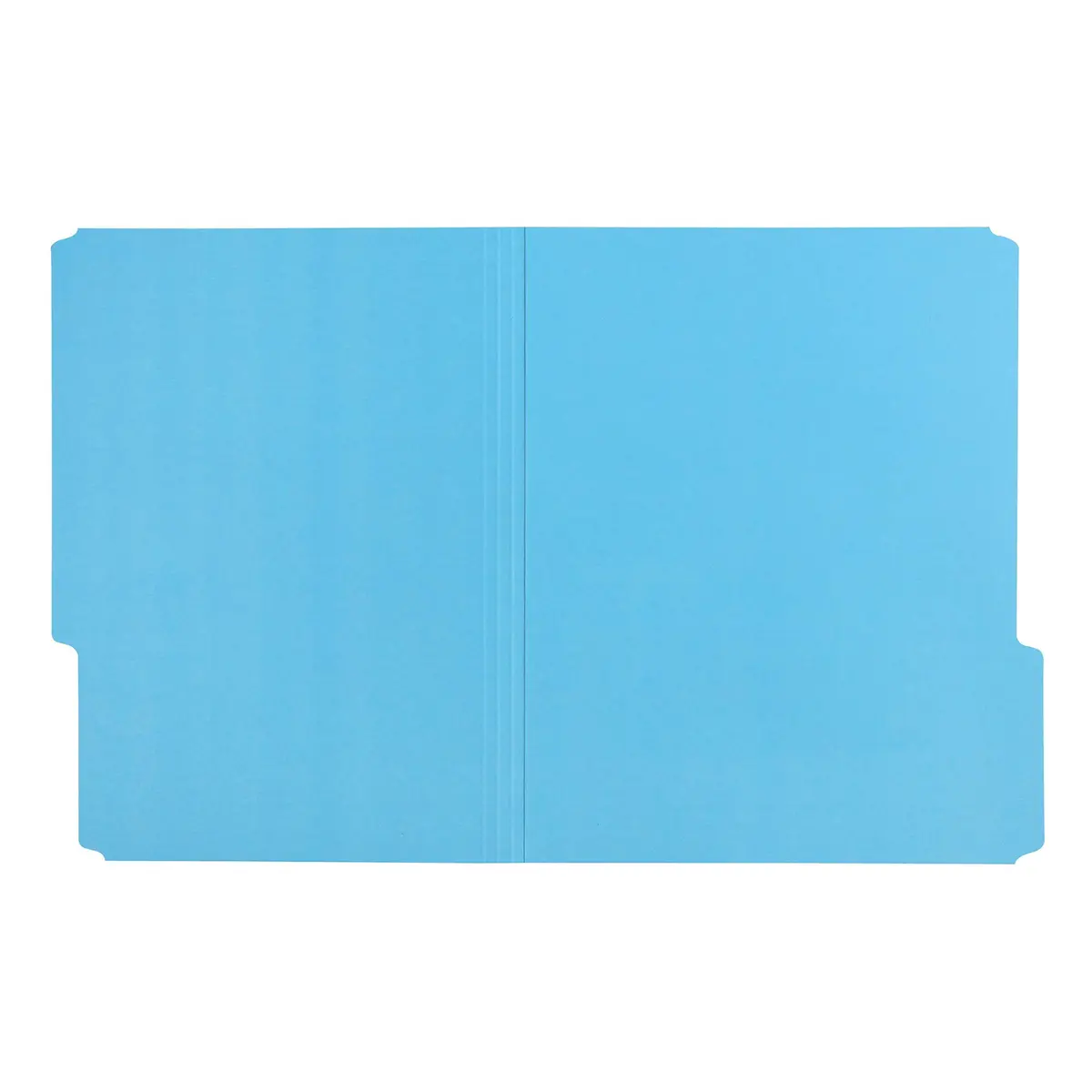 Amazon Basics File Folders for Organization, Letter Size, 1/3 Cut Tab, Blue, Pack of 360 | 360 Folders for Everyday Filing - view 3