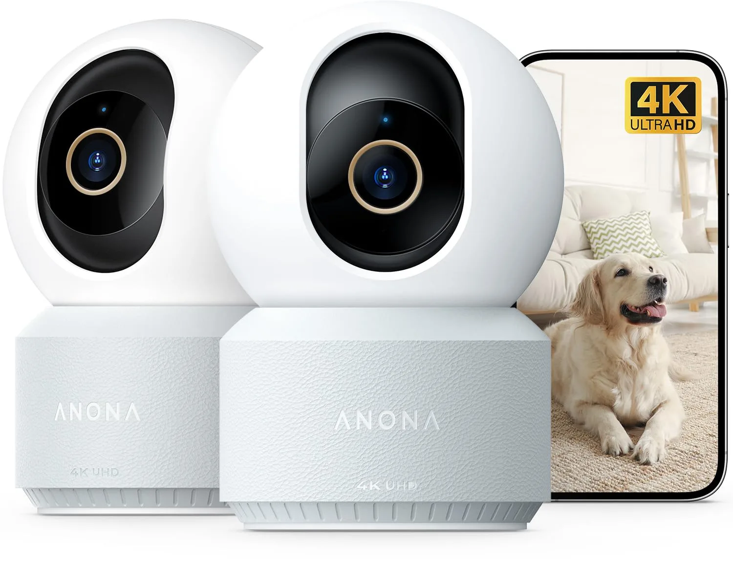 Surveillance Cameras