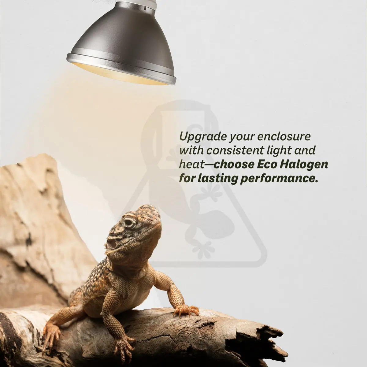Reptile Systems Eco Halogen White 50w Lamp for Reptiles & Amphibians | Efficient Heating & Dual Light & Heat - view 4