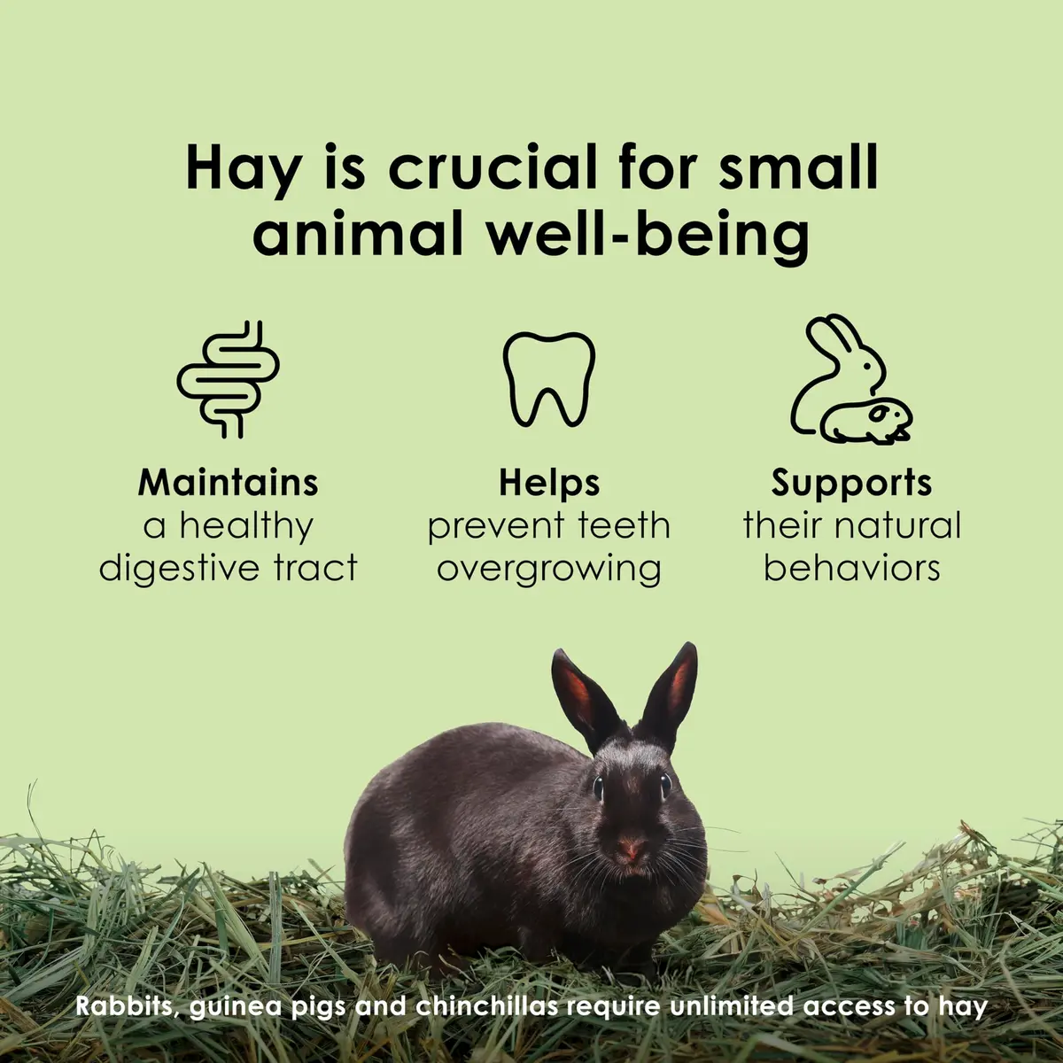 Kaytee Timothy Hay for Rabbits, Guinea Pigs, Chinchillas, Gerbils, Hamsters - 24 lb (10.89 kg) | Supports Digestive Health - view 6