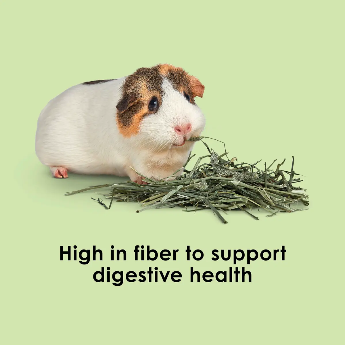 Kaytee Timothy Hay for Rabbits, Guinea Pigs, Chinchillas, Gerbils, Hamsters - 24 lb (10.89 kg) | Supports Digestive Health - view 4