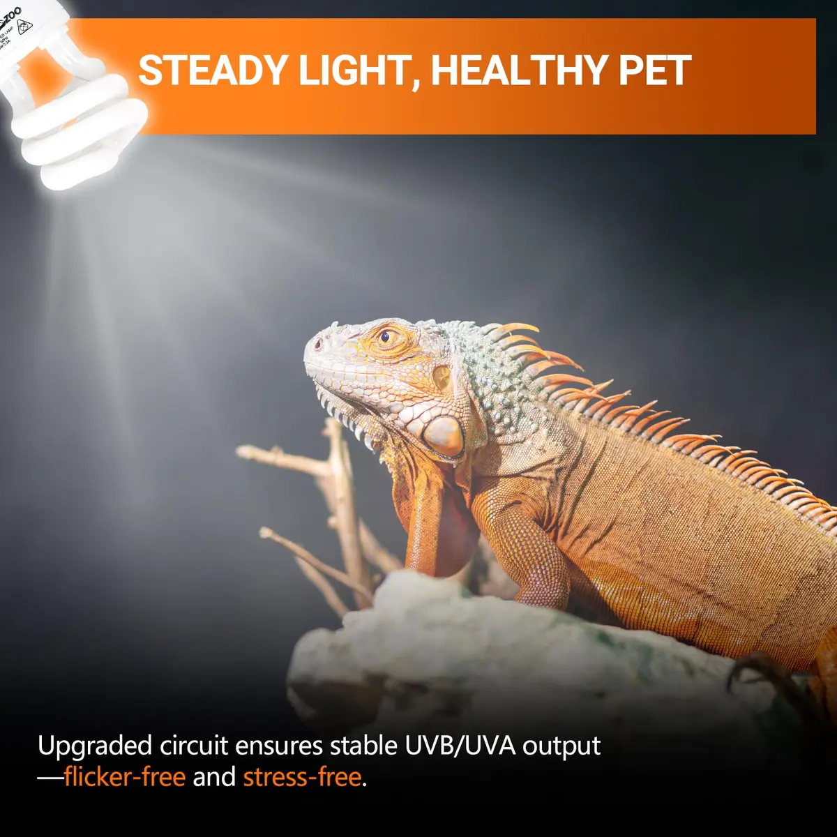 REPTI ZOO 15W UVA UVB Reptile Light Bulb 10.0 2-Pack | Simulates Tropical Sunlight for Bearded Dragons, Tortoises, Lizards, Snakes - view 5