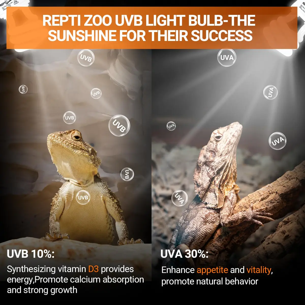 REPTI ZOO 15W UVA UVB Reptile Light Bulb 10.0 2-Pack | Simulates Tropical Sunlight for Bearded Dragons, Tortoises, Lizards, Snakes - view 3