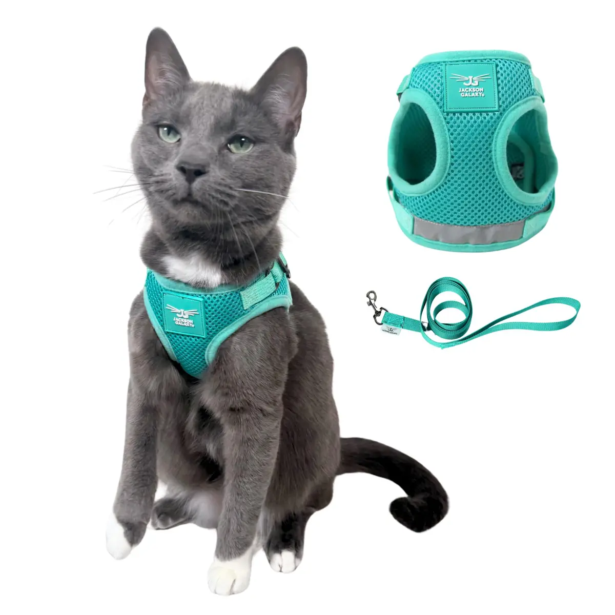 Your Cat Backpack Travel Cat Harness and Leash Set - Adjustable Mesh Fit for Outdoor Cats (Large) - main product image