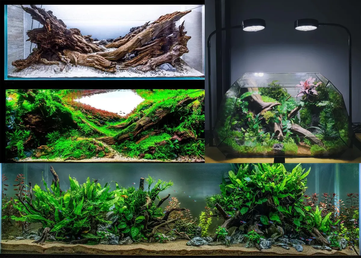 Azil Natural Driftwood 9''-12'' (2 Pieces, 0.71 kg) | Unique Aquarium Decor for Fish Tanks & Aquascaping - view 5