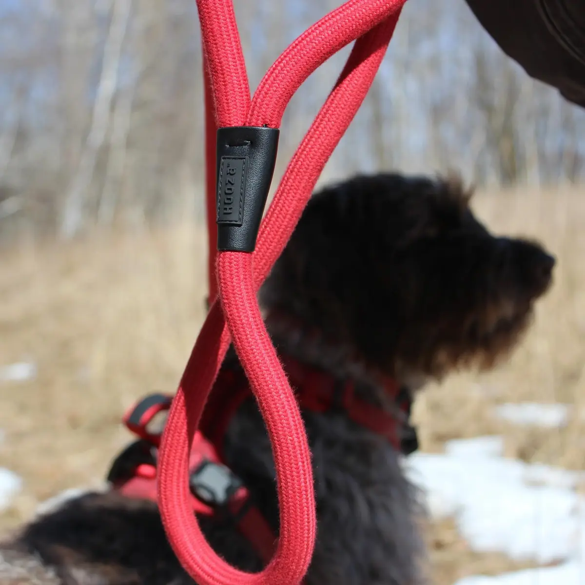 HOOZA Magnetic Rope Leash - Red, Medium | Quick Clip Magnetic Dog Leash with Heavy-Duty Rope - view 5