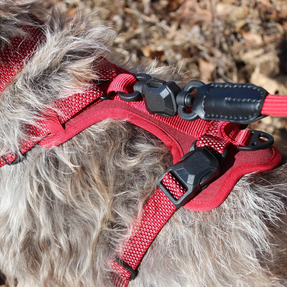 HOOZA Magnetic Rope Leash - Red, Medium | Quick Clip Magnetic Dog Leash with Heavy-Duty Rope - view 8