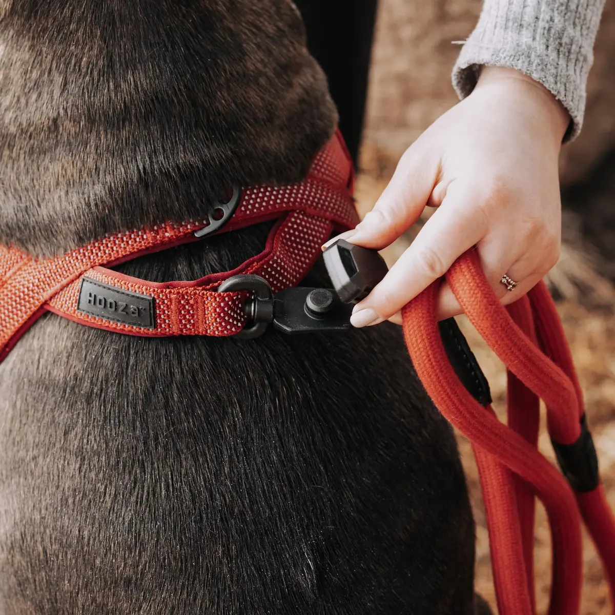 HOOZA Magnetic Rope Leash - Red, Medium | Quick Clip Magnetic Dog Leash with Heavy-Duty Rope - view 3