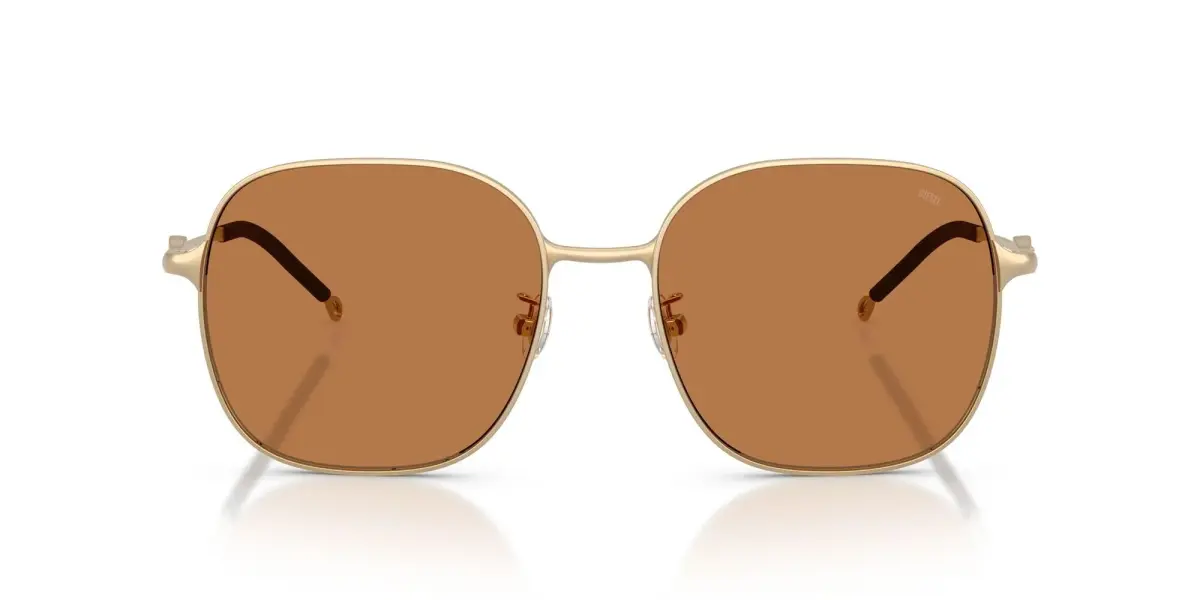 Diesel DL1010D Square Sunglasses Matte Gold/Brown 58 mm | Authentic Import for India - main product image