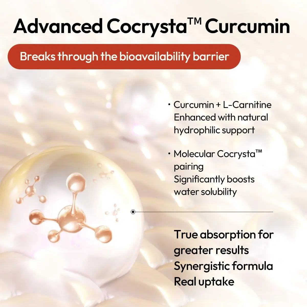 BIGVITA CoCrystal Curcumin+ 60 Capsules | 60x Absorption with Curcumin & L-Carnitine | Dietary Supplement for Daily Wellness | Made in USA - view 5