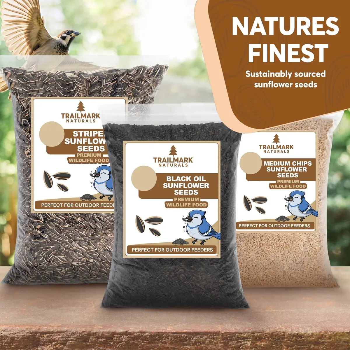 Trailmark Naturals 3 lb Black Oil Sunflower Seeds for Birds | Premium USA Wildlife & Backyard Feeders - view 5
