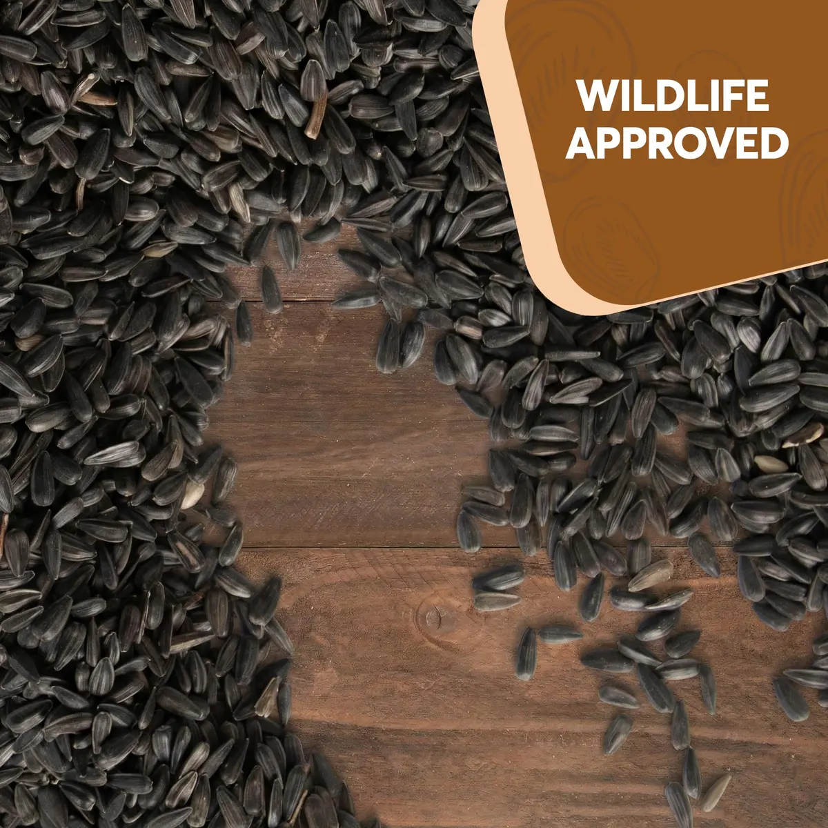 Trailmark Naturals 3 lb Black Oil Sunflower Seeds for Birds | Premium USA Wildlife & Backyard Feeders - view 6