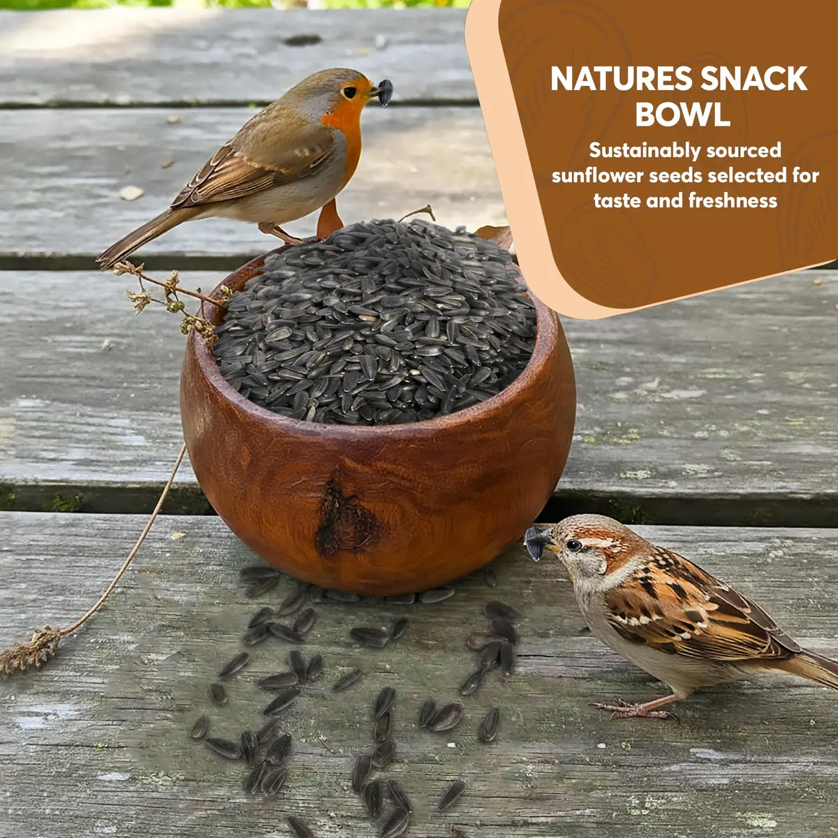Trailmark Naturals 3 lb Black Oil Sunflower Seeds for Birds | Premium USA Wildlife & Backyard Feeders - view 4