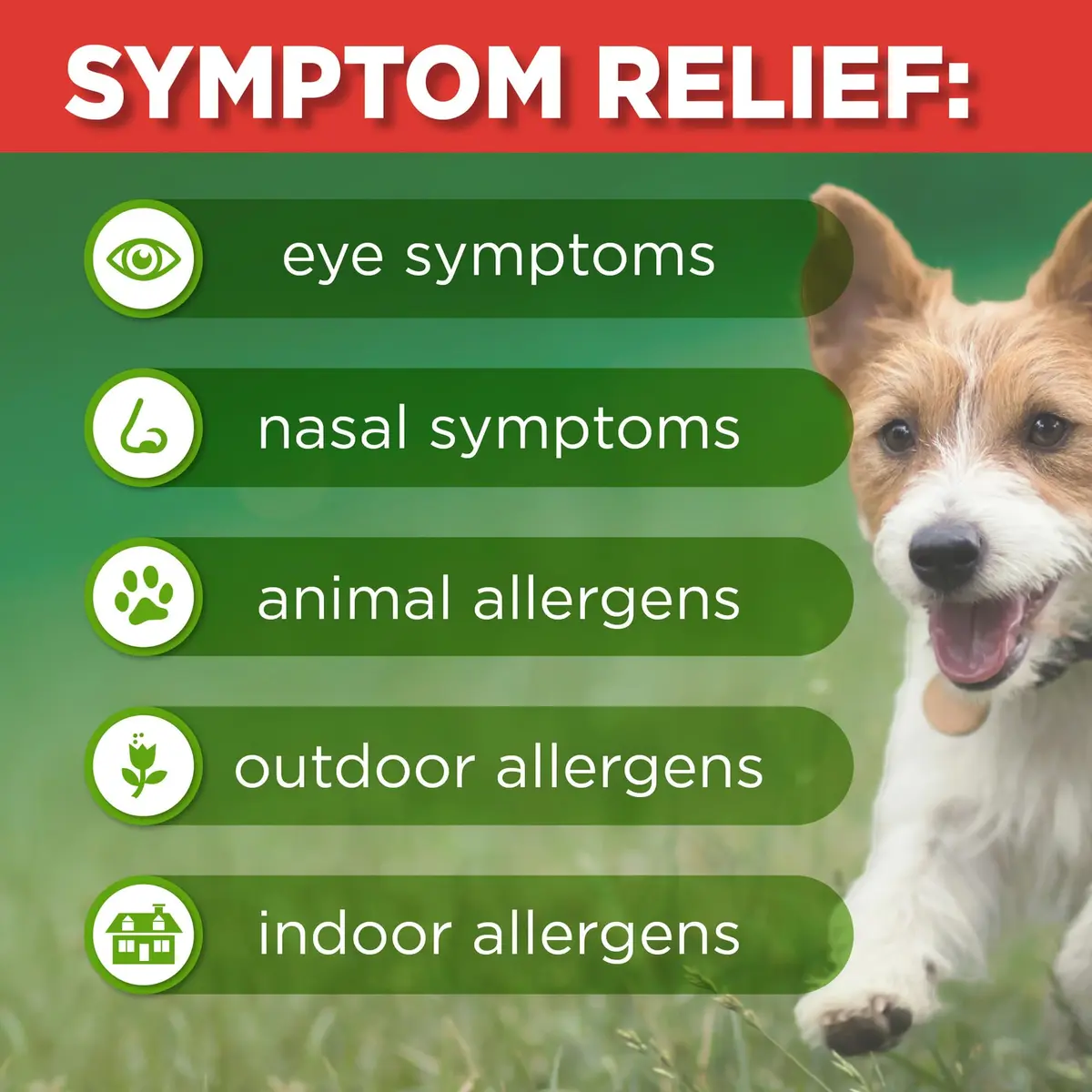 GoodSense Fluticasone Propionate Nasal Spray 50 mcg | 144 Sprays | 24-Hour Allergy Relief, Non-Drowsy - view 5