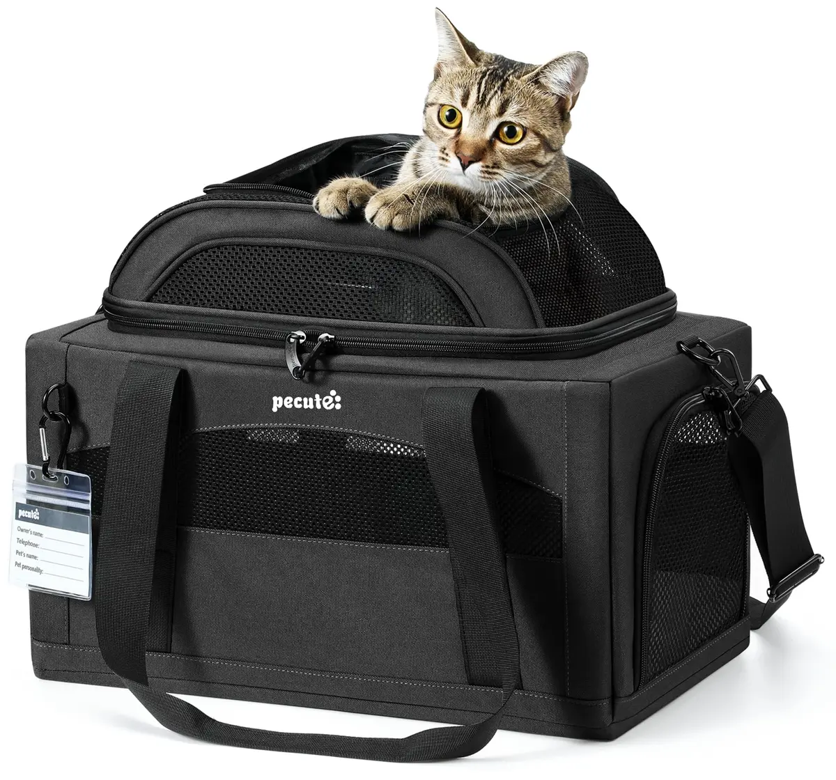 Pecute Top Expandable Airline Approved Pet Carrier for Cats, Dark Gray | Compact & Ventilated - main product image