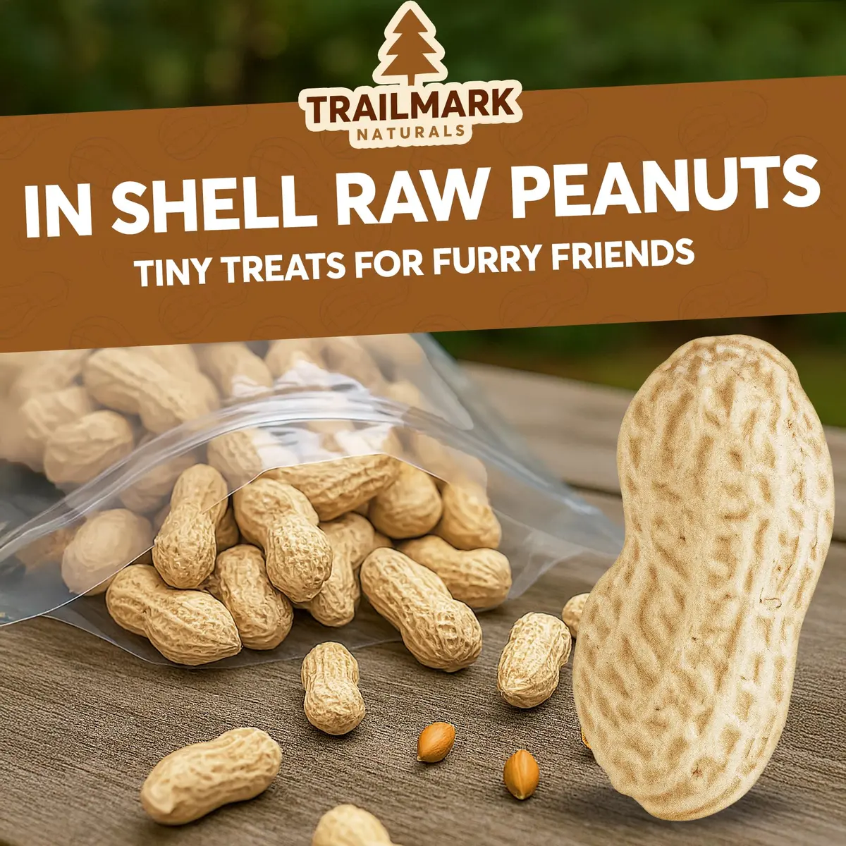 Trailmark Naturals Raw Peanuts for Squirrels & Birds | 2 Pack of 5 Lb Bags (10 Pounds) | Grown in The USA - view 3