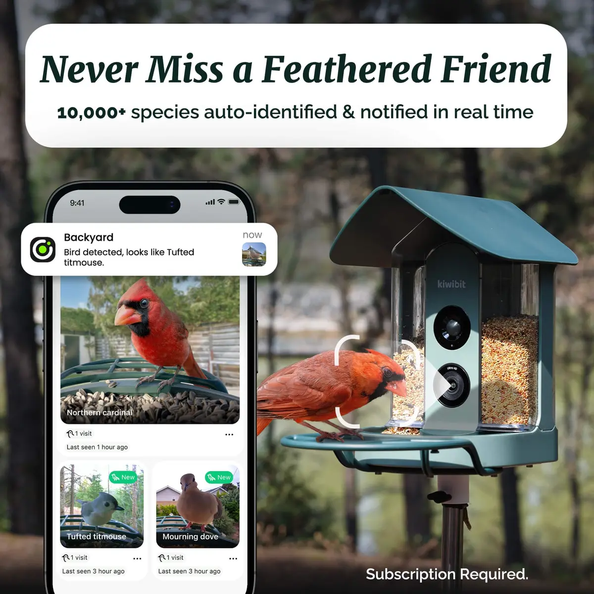 Kiwibit Bird Feeder with 4K Camera | Smart Wildlife Birdwatching Kit, IP65 Waterproof, Solar Powered, 512GB Storage, 4K Ultra HD - view 8