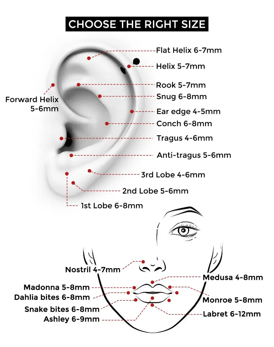 OUFER 20G Silver Titanium Labret Stud 5mm Post | G23 Implant Grade for Sensitive Skin - view 9