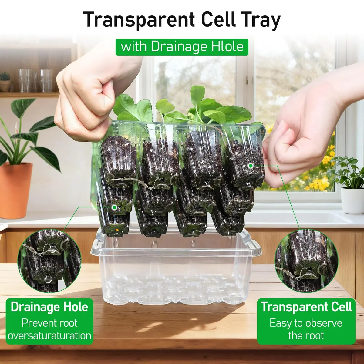 MIXC 10 Pack Seed Starter Tray with Elevated Dome, 120 Cells | 18.2cm (7.17in) x 15.7cm (6.18in) x 13cm (5.12in) - view 5