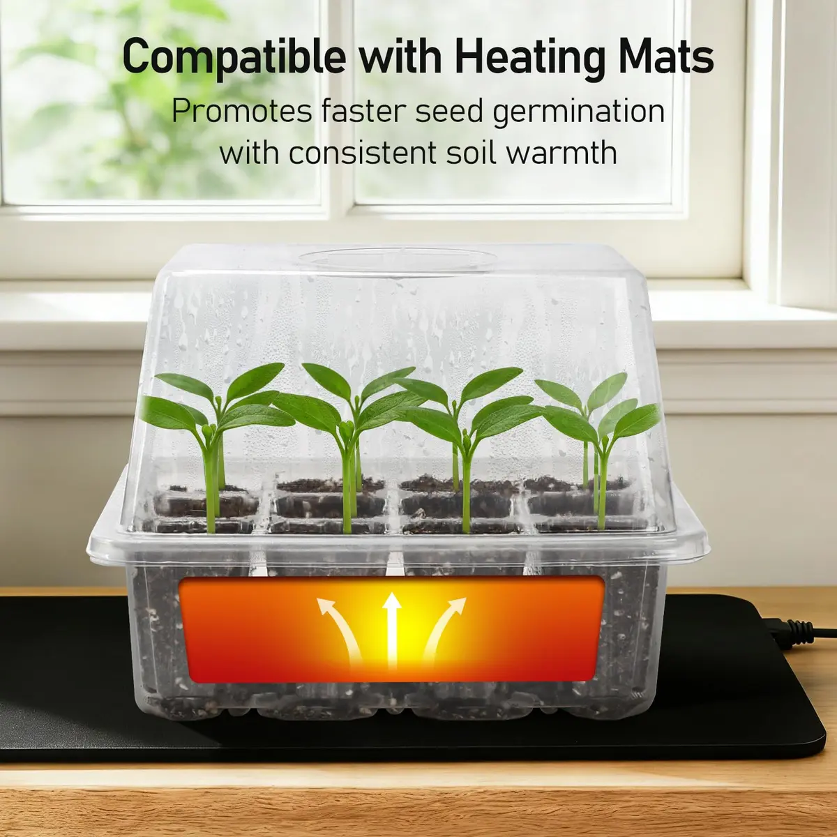 MIXC 10 Pack Seed Starter Tray with Elevated Dome, 120 Cells | 18.2cm (7.17in) x 15.7cm (6.18in) x 13cm (5.12in) - view 6