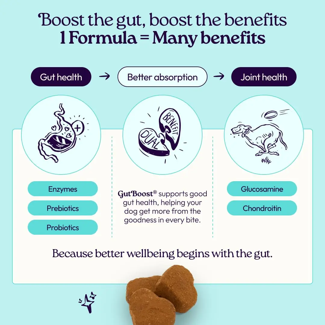 WellJoy Dental Dog Treat + Teeth Cleaning, Parsley, GutBoost, 24ct | Supports Oral & Digestive Wellness - view 6