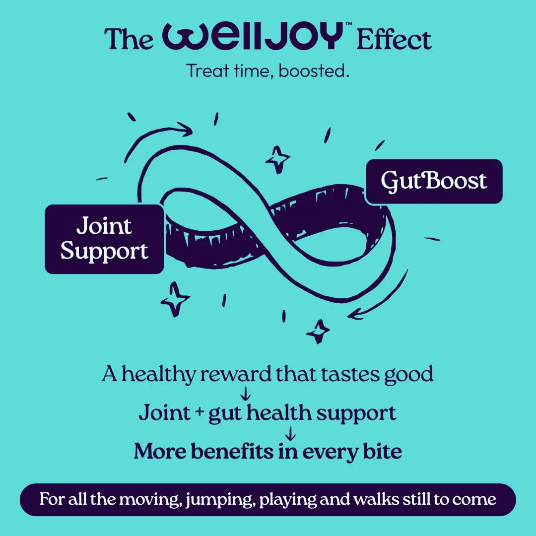 WellJoy Dental Dog Treat + Teeth Cleaning, Parsley, GutBoost, 24ct | Supports Oral & Digestive Wellness - view 7