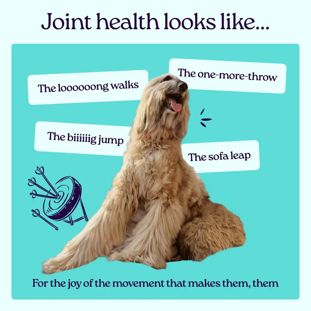 WellJoy Dental Dog Treat + Teeth Cleaning, Parsley, GutBoost, 24ct | Supports Oral & Digestive Wellness - view 4