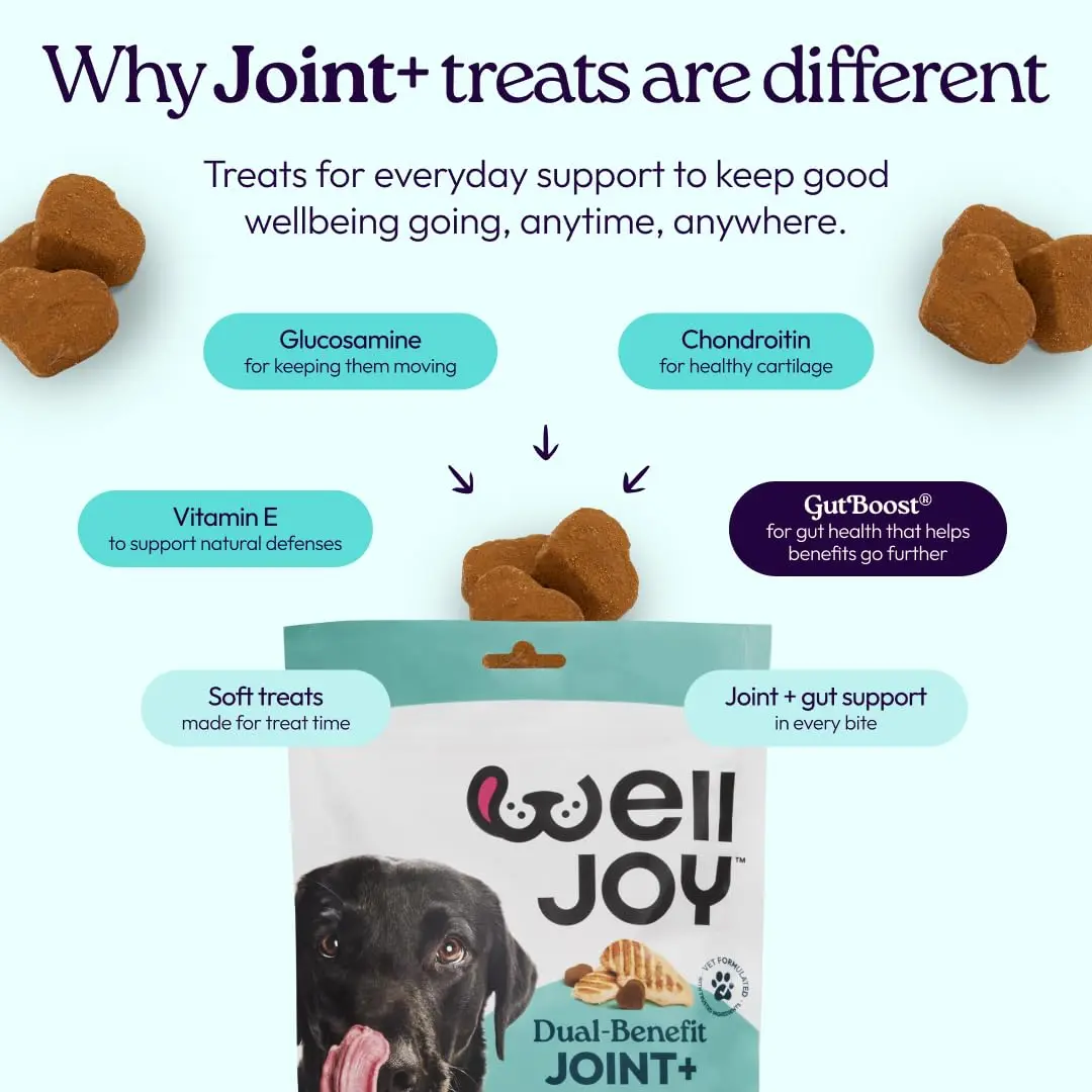 WellJoy Dental Dog Treat + Teeth Cleaning, Parsley, GutBoost, 24ct | Supports Oral & Digestive Wellness - view 5