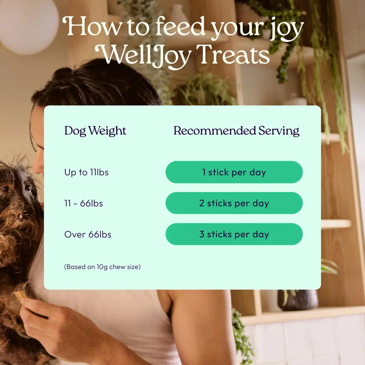 WellJoy Dental Dog Treat + Teeth Cleaning, Parsley, GutBoost, 24ct | Supports Oral & Digestive Wellness - view 7