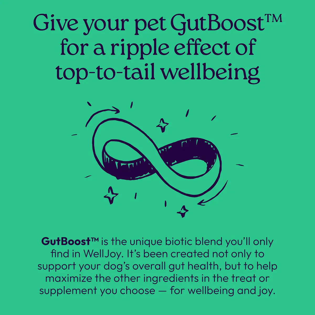 WellJoy Dental Dog Treat + Teeth Cleaning, Parsley, GutBoost, 24ct | Supports Oral & Digestive Wellness - view 8