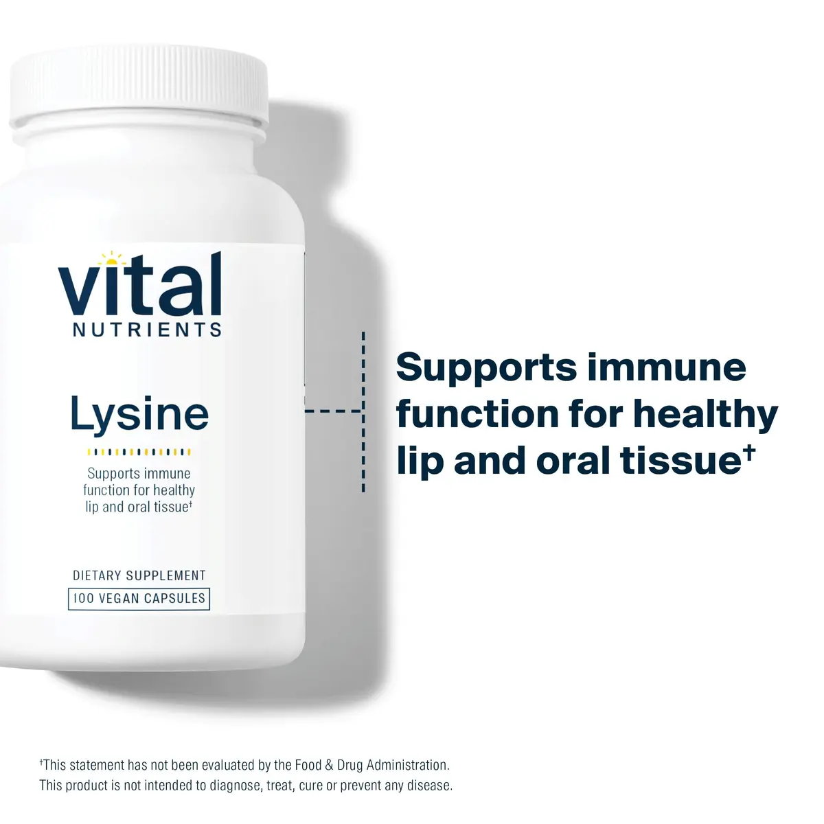 Vital Nutrients Lysine | Lysine Supplement Supports Healthy Lip and Oral Tissue | Immune Support Promotes Calcium Absorption | Gluten, Dairy, Soy Free | Non-GMO | 100 Capsules (Pack of 2) - view 3