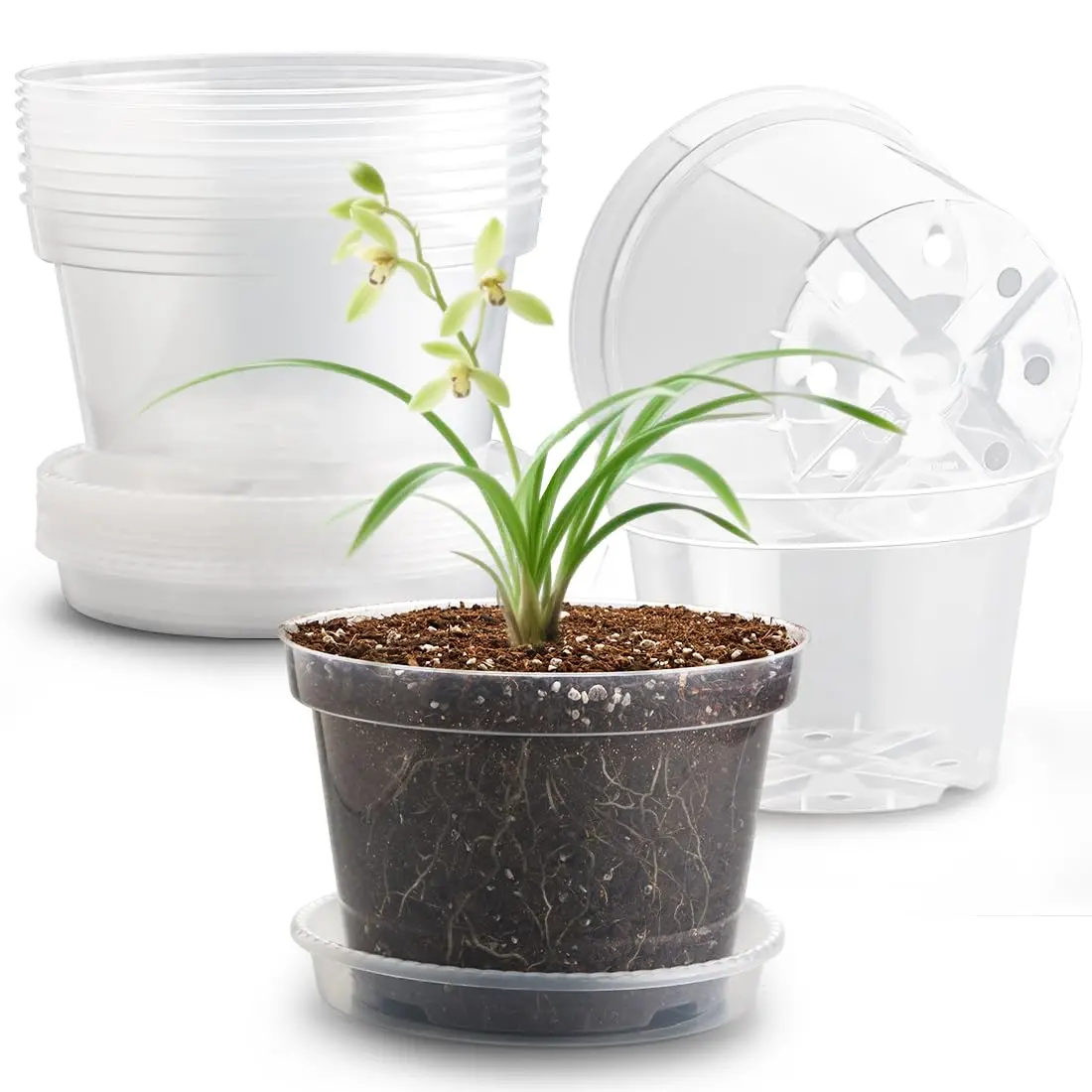 RooTrimmer Clear 8 Inch Plant Pots with Saucers (12 Pack) | Transparent Plastic Nursery Pots with Drainage Hole - main product image