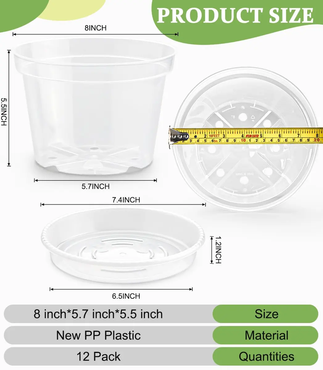 RooTrimmer Clear 8 Inch Plant Pots with Saucers (12 Pack) | Transparent Plastic Nursery Pots with Drainage Hole - view 2