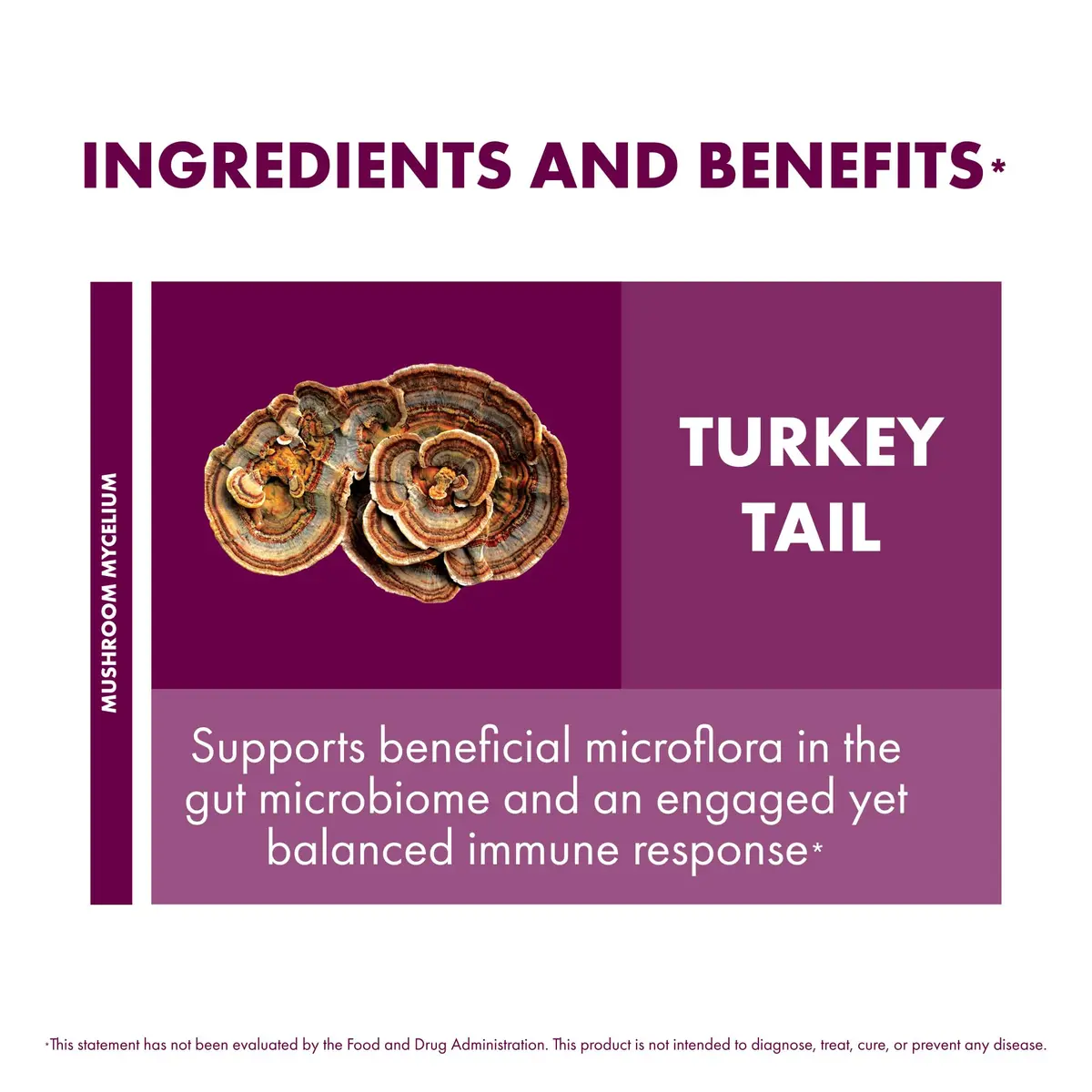 Host Defense Turkey Tail Capsules 240 Count (120 Ct Each) | Immune & Digestive Support - view 6