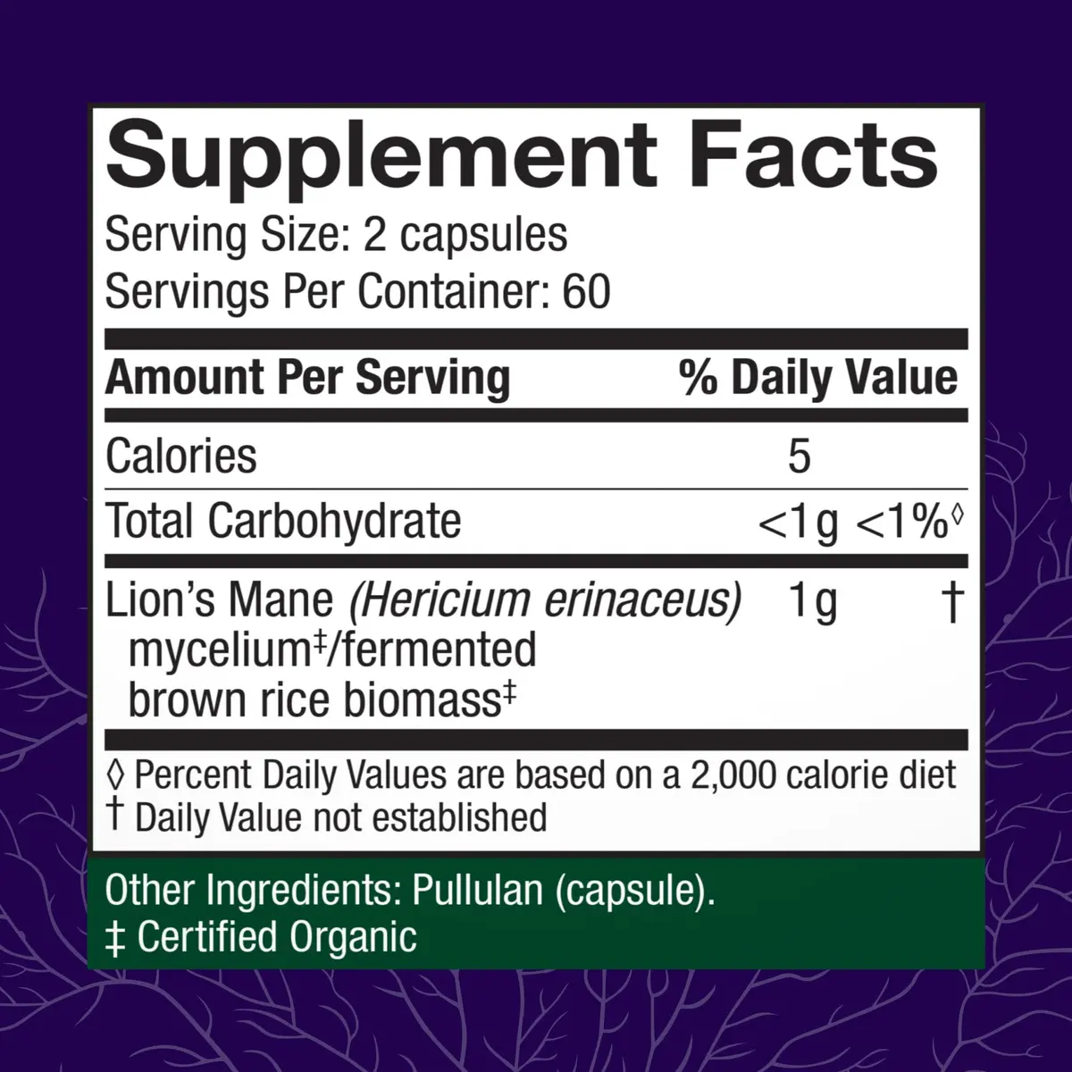 Host Defense Lion's Mane Brain & Focus Support, 240 (2 Units of 120 Ct) | Vegan Mushroom Supplement for Memory & Clarity - view 2
