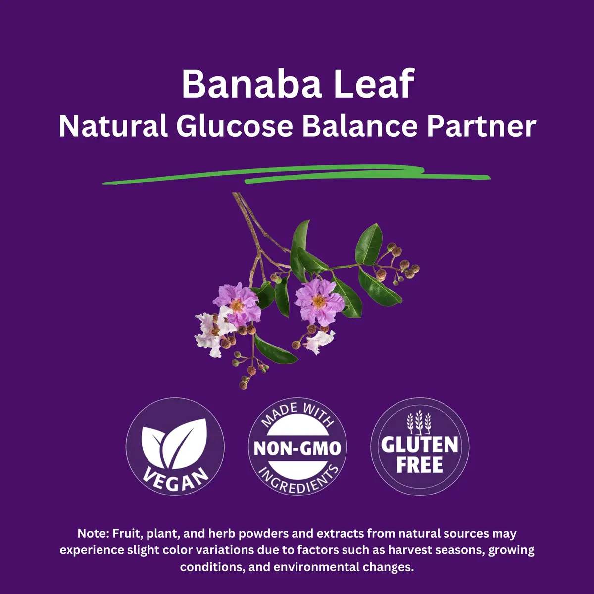Paradise Herbs Banaba Leaf 12:1 Extract 250 mg | Vegan, Gluten-Free, Non-GMO Capsules - view 3