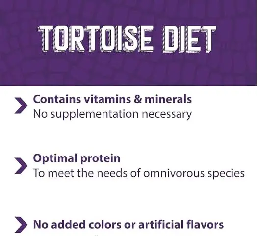Mazuri Tortoise Diet 20 Ounce (20 OZ) Bag (Pack of 2) | Complete Nutrition for Tropical & Forest Tortoises - view 4