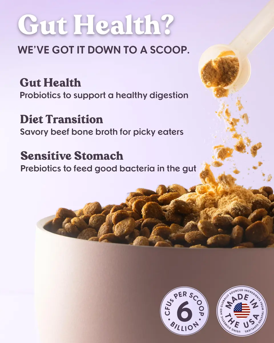 Bundle x Joy Probiotic Powder for Dogs 6 Billion CFU | Gut & Immune Support in USA (70-120 chars) - view 2