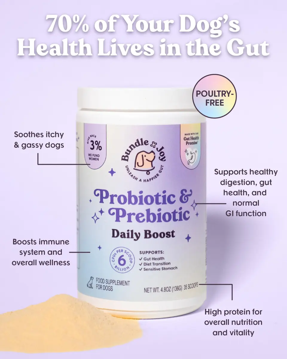 Bundle x Joy Probiotic Powder for Dogs 6 Billion CFU | Gut & Immune Support in USA (70-120 chars) - view 3