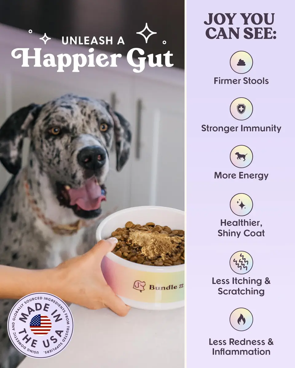 Bundle x Joy Probiotic Powder for Dogs 6 Billion CFU | Gut & Immune Support in USA (70-120 chars) - view 4
