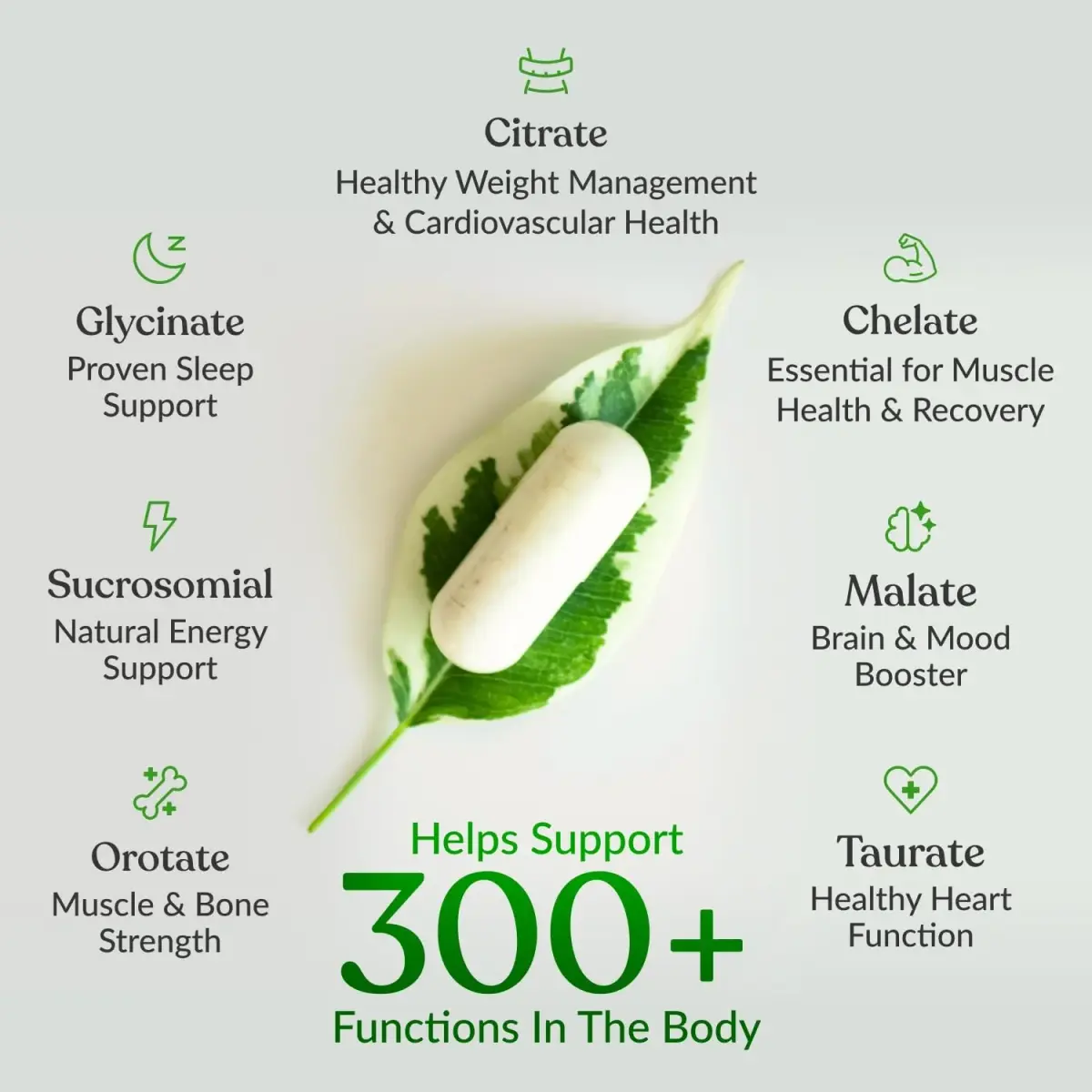 BIOptimizers Magnesium Breakthrough 500mg 7 Forms of Magnesium Capsules | Supports Sleep & Cognitive Function - view 4
