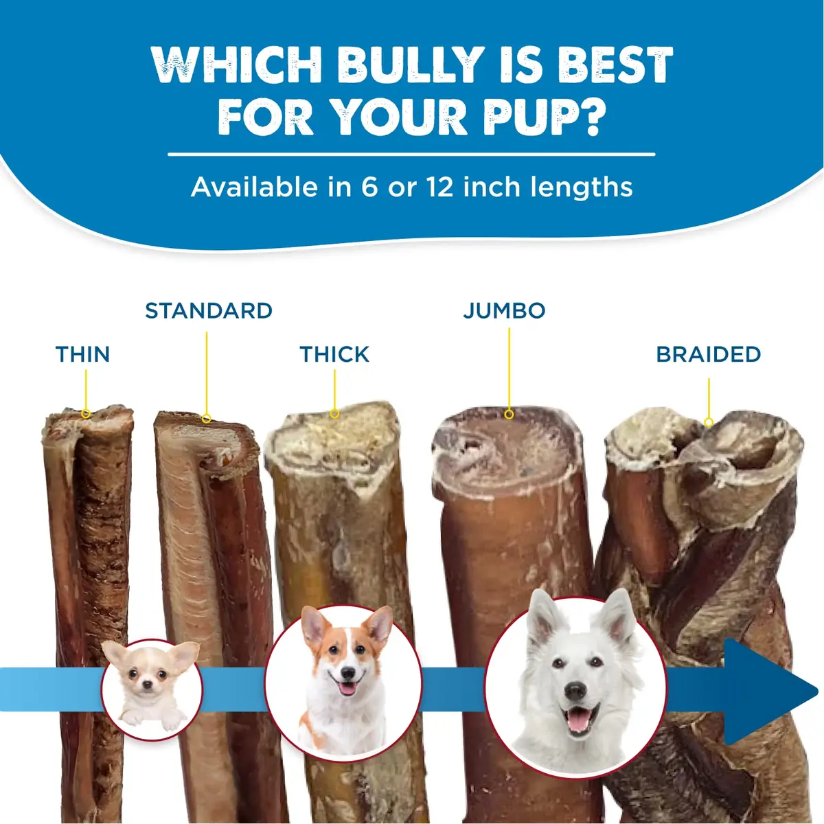 Best Bully Sticks Braided Bully Sticks Dog Chews, 12" | Natural, Long-Lasting Protein Treat - view 5