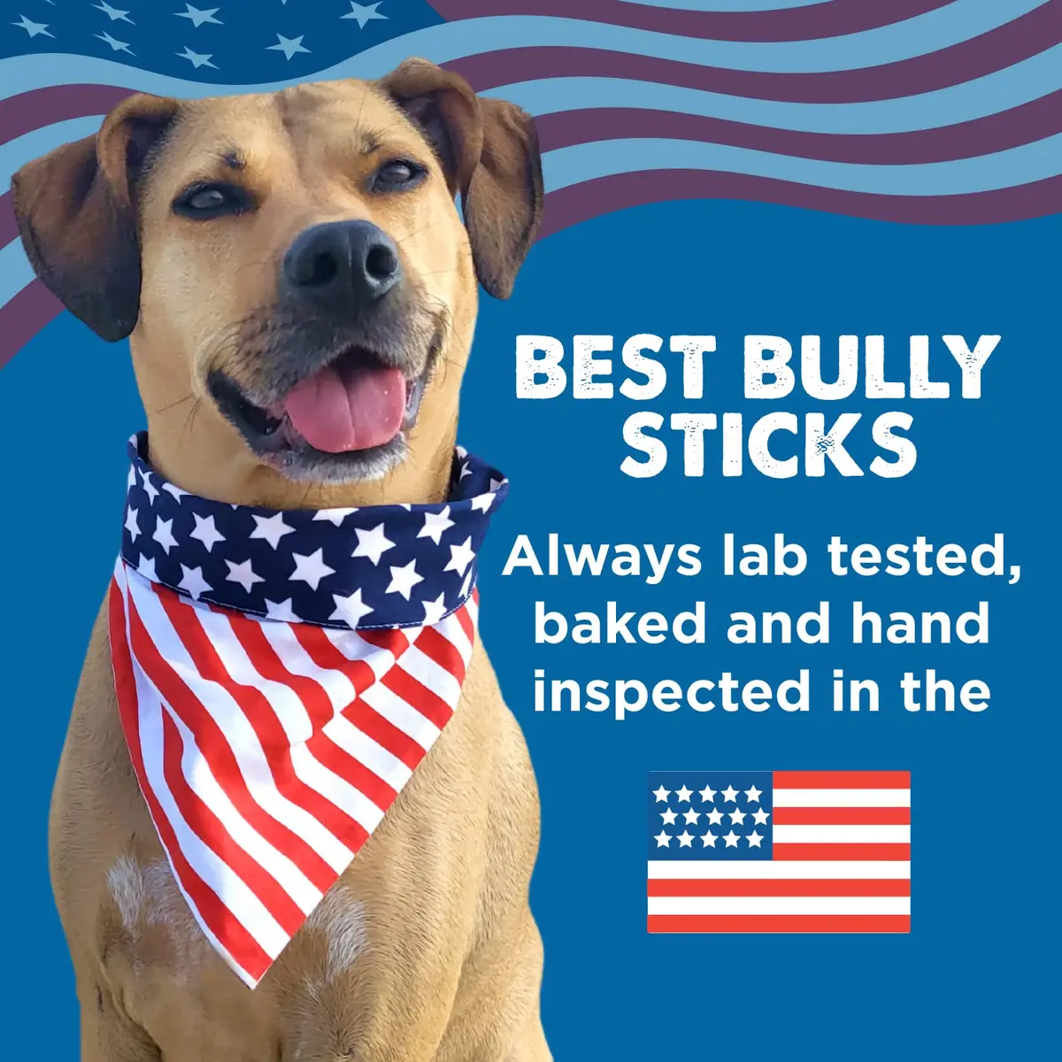 Best Bully Sticks 50 Count 12 Inch Dog Chews | Natural, Grass-Fed Beef, Grain-Free (70-120 chars) - view 9