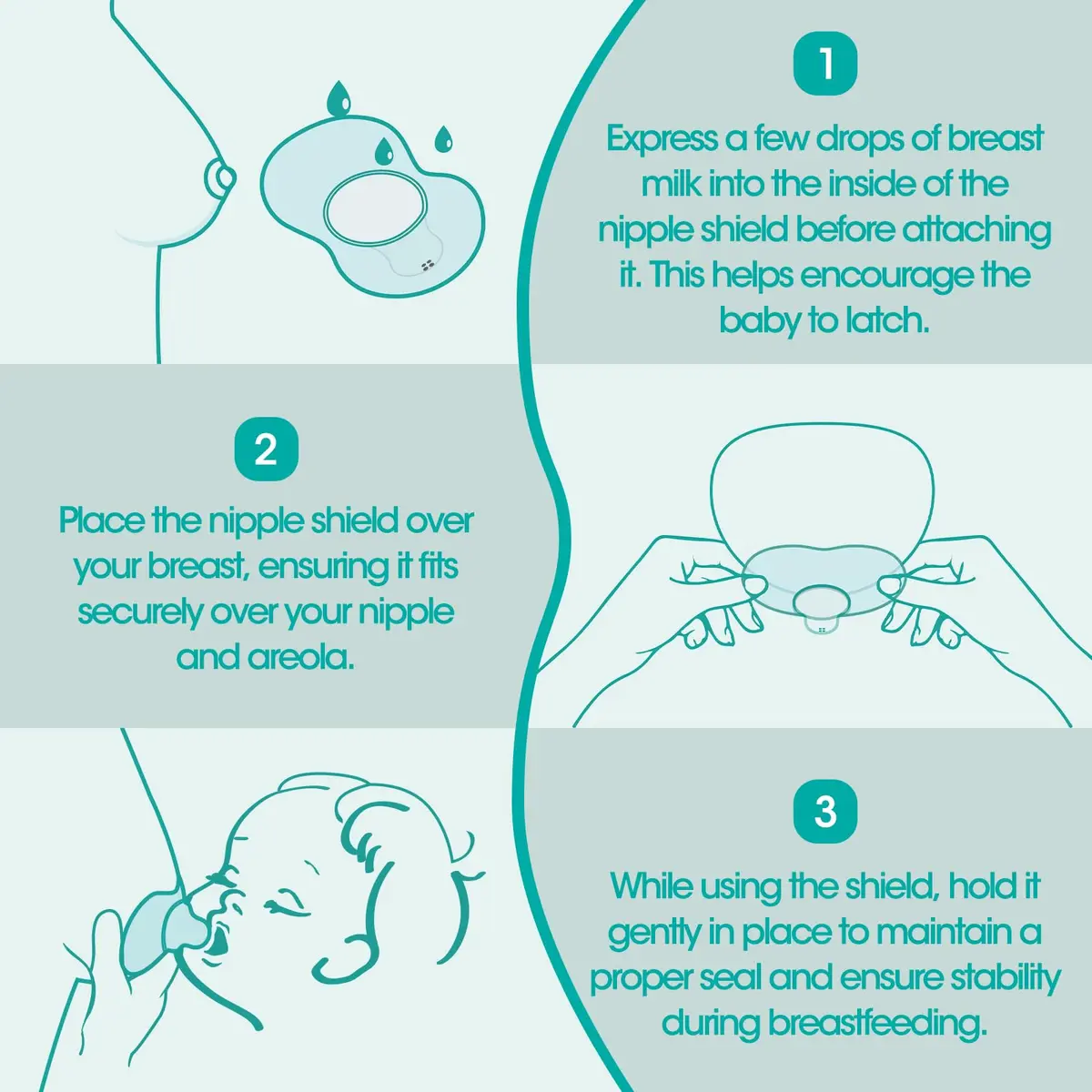 Cheri Baby Contact Nipple Shields for Breastfeeding with Difficulty Sucking or Flat or Inverted Nipples, 2 Pair (20mm) | Soft Food Grade Silicone - view 4