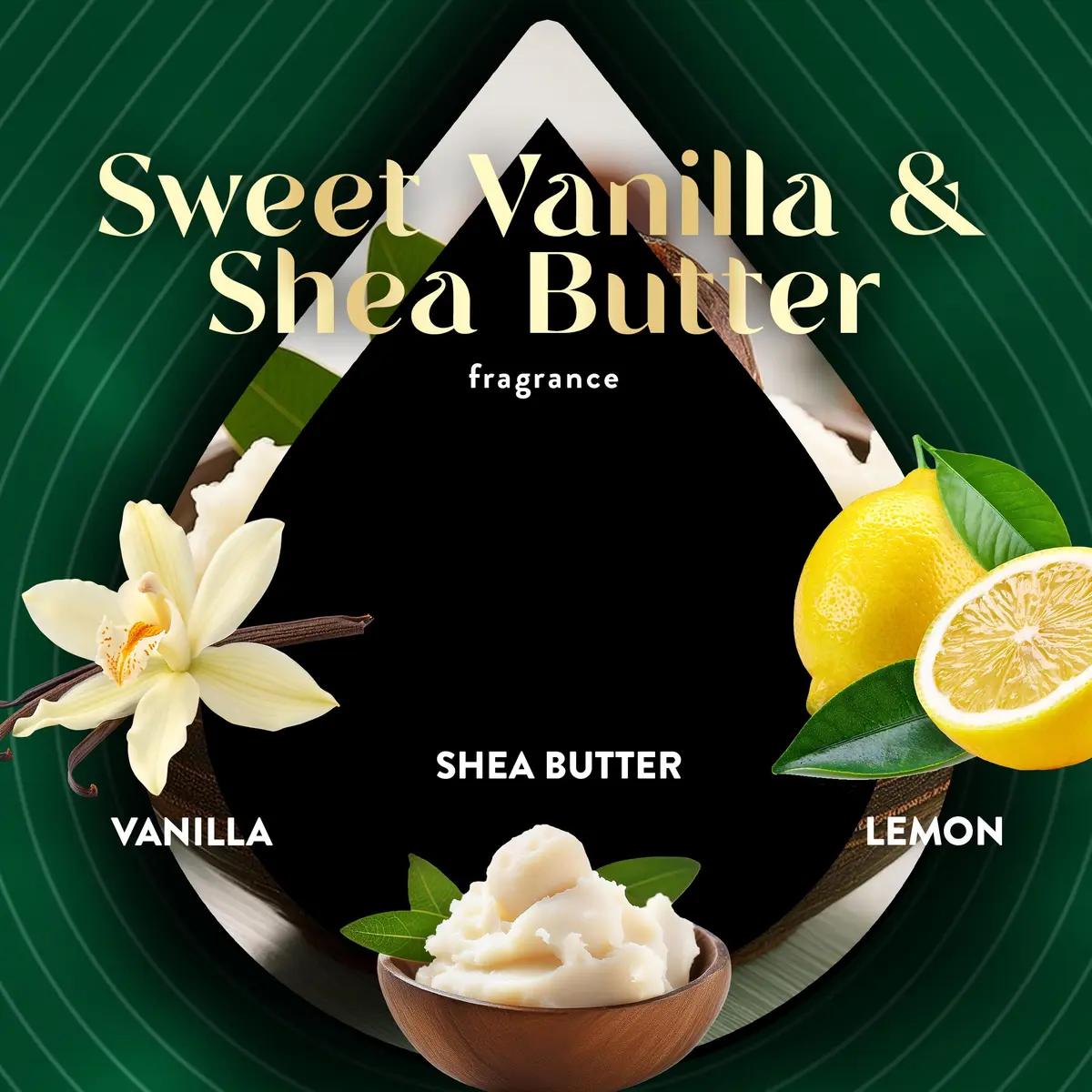 Air Wick Vibrant Plug In Scented Oil Refills Sweet Vanilla & Shea Butter 2.69ml (0.67 Fl Oz) 4-Pack | Infused with 2x More Essential Oils - view 5