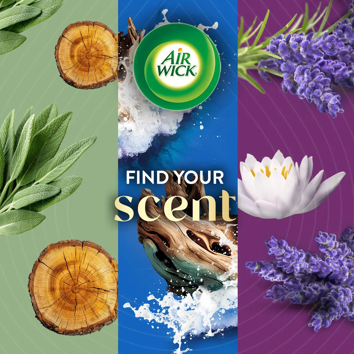 Air Wick Vibrant Plug In Scented Oil Refills Sweet Vanilla & Shea Butter 2.69ml (0.67 Fl Oz) 4-Pack | Infused with 2x More Essential Oils - view 7